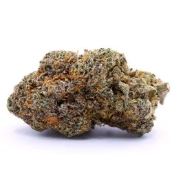 Strawberry Haze