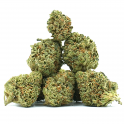 Super Skunk - Small Bud Indoor