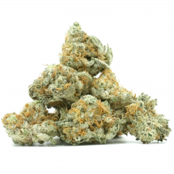 Skywalker - Small Bud Green...
