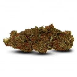 Gelato