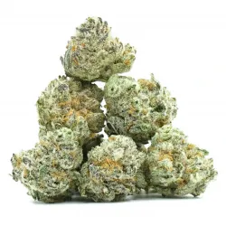 Tutti Frutti Small Buds