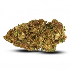 Girl Scout Cookies