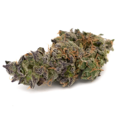 OG Kush CBG