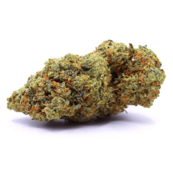Super Critical