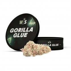 Gorilla Glue - Calibox