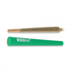 Pré-roll Blueberry