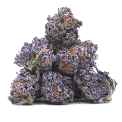 Purple Pop's - Small Bud Indoor