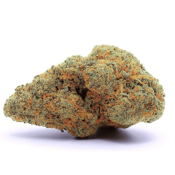 Amnesia Cryo