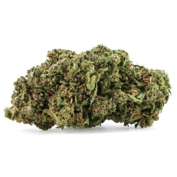 Forbidden Fruit CBD+