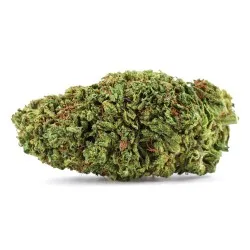 Blue Dream CBD+