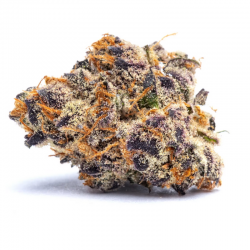 Purple Punch