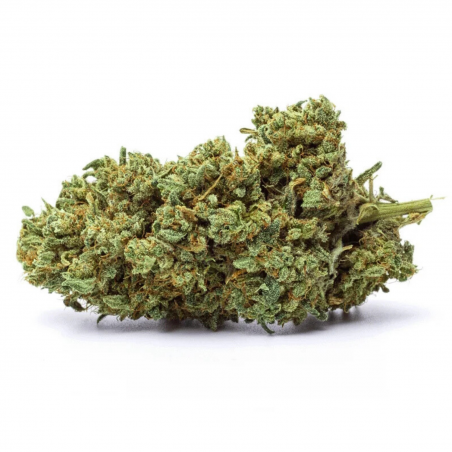 Zkittlez CBD+ image