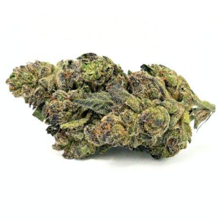 Midnight Kush image