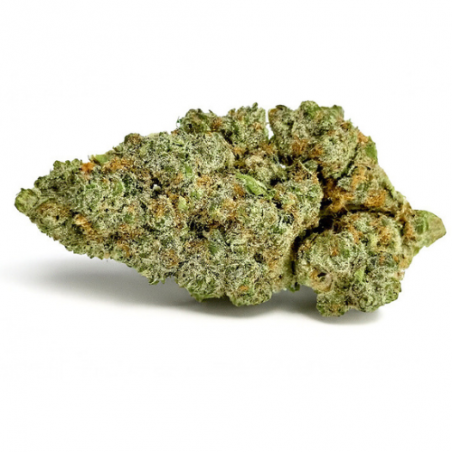 Green Skunk image