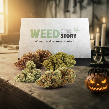 Pack Halloween CBD Pack Halloween CBD image
