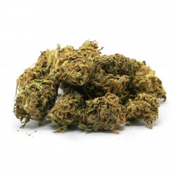 WONDER ACDC - CBD BRETON