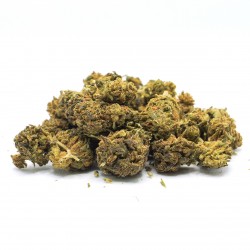 BLACKBERRY - CBD BRETON