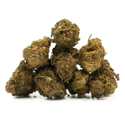 Super Skunk - Small Bud...