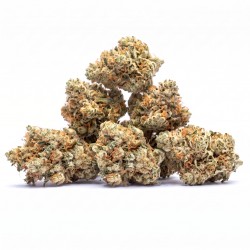 Blueberry CBD+ - Small Bud...