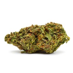 Critical Mass CBD+