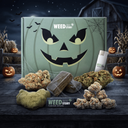 Pack Spécial Halloween