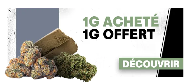 Tutti Frutti Small Buds