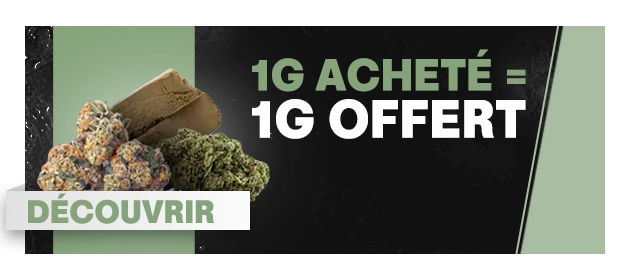 Tutti Frutti Small Buds