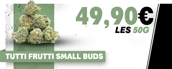 Tutti Frutti Small Buds