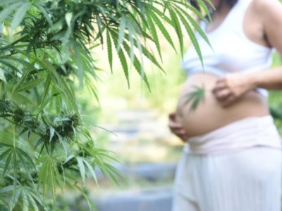 Peut-on consommer du CBD pendant la grossesse ?